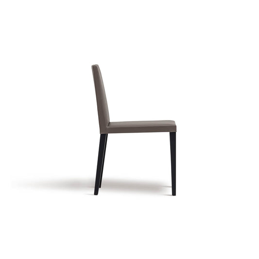 Origin Dining Chair